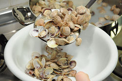 Scolare le vongole