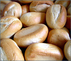 Pane