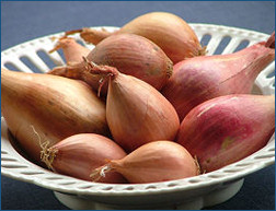 Scalogni Scalogni