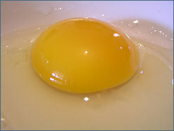 Un uovo crudo