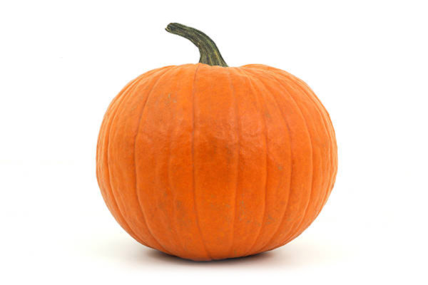 Zucca Jack O'Lantern