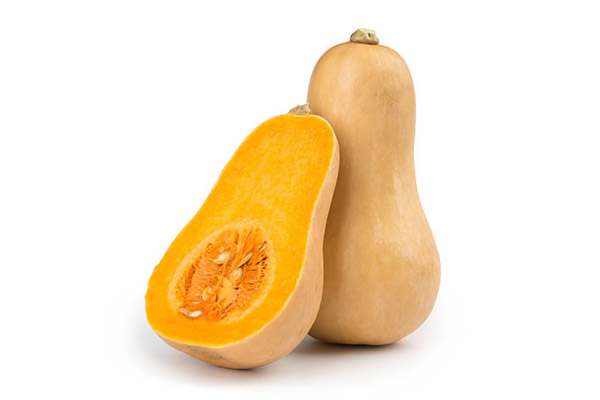 Zucca Butternut